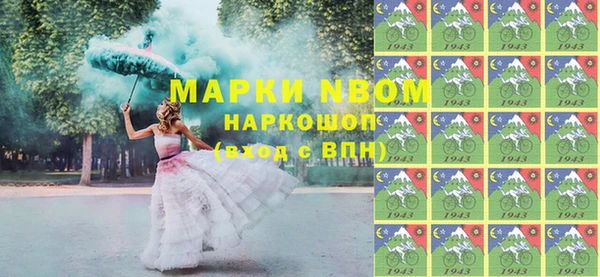 индика Верхний Тагил