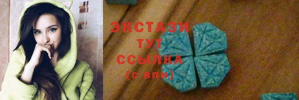 индика Верхний Тагил