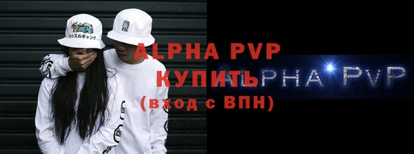 индика Верхний Тагил