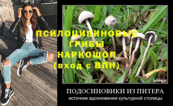 mdpv Богородск