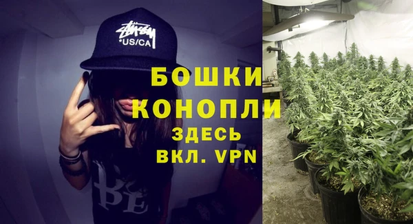 индика Верхний Тагил