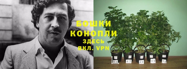 мет Верея
