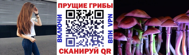 Галлюциногенные грибы Magic Shrooms  как найти закладки  Калязин 